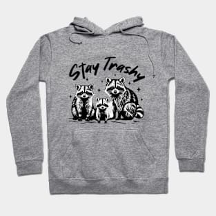 Stay Trashy Possum Raccoon Hoodie